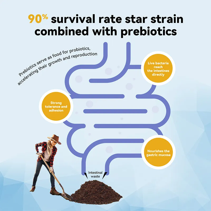 OEM Probiotic Gummies Strength